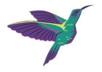 Colibri-removebg-preview
